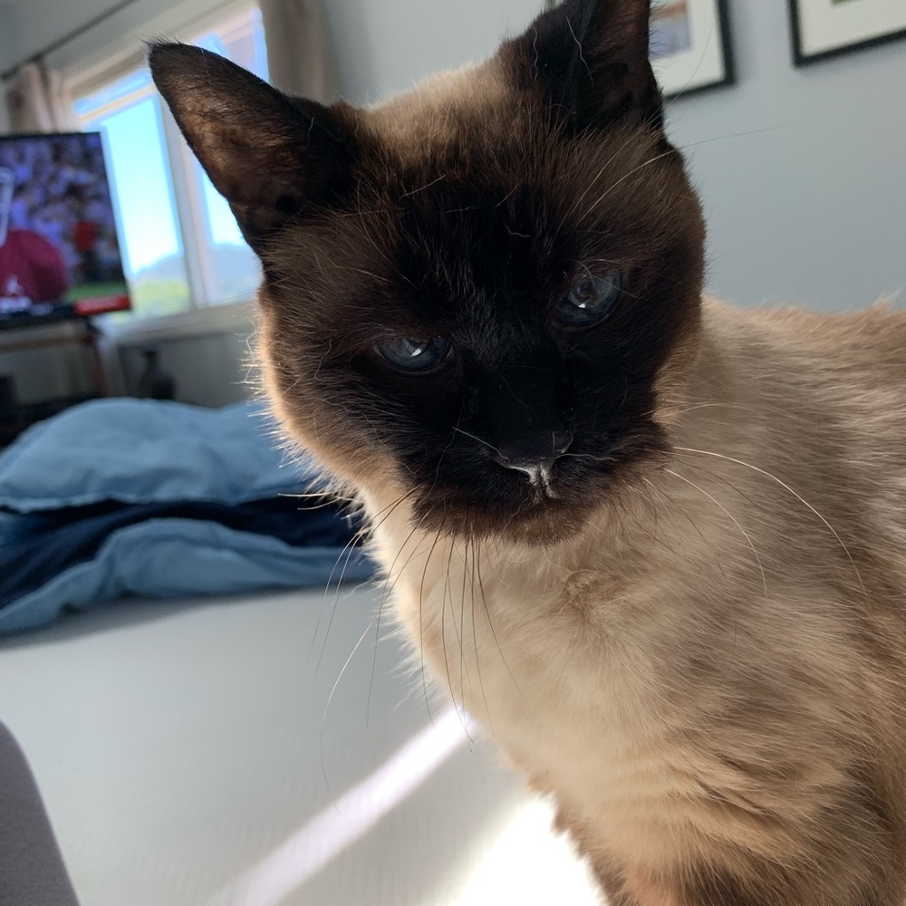 Meet your Posher, Denise